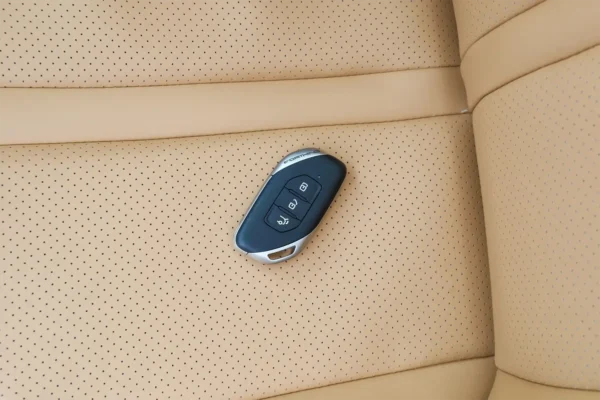 Forthing T5 Evo – RIVEX Auto Export – China Vehicle Export Specialist