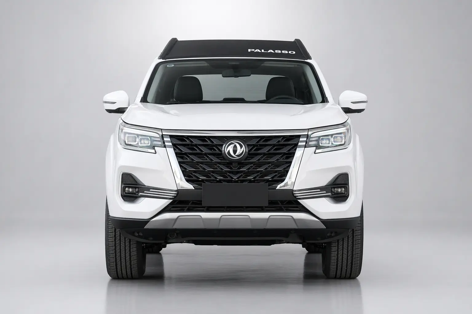 Dongfeng Palasso - Image 2