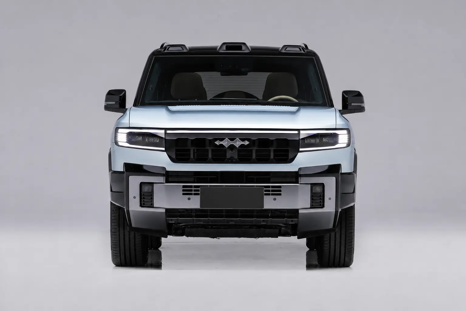 Formula Leopard 8 - Image 2