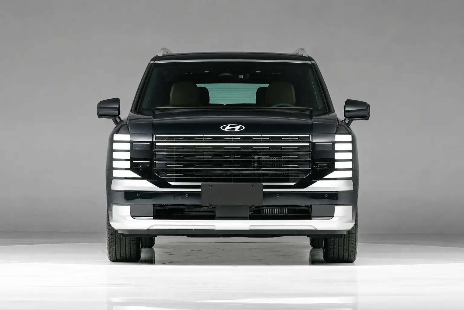 Hyundai Palisade - Image 2
