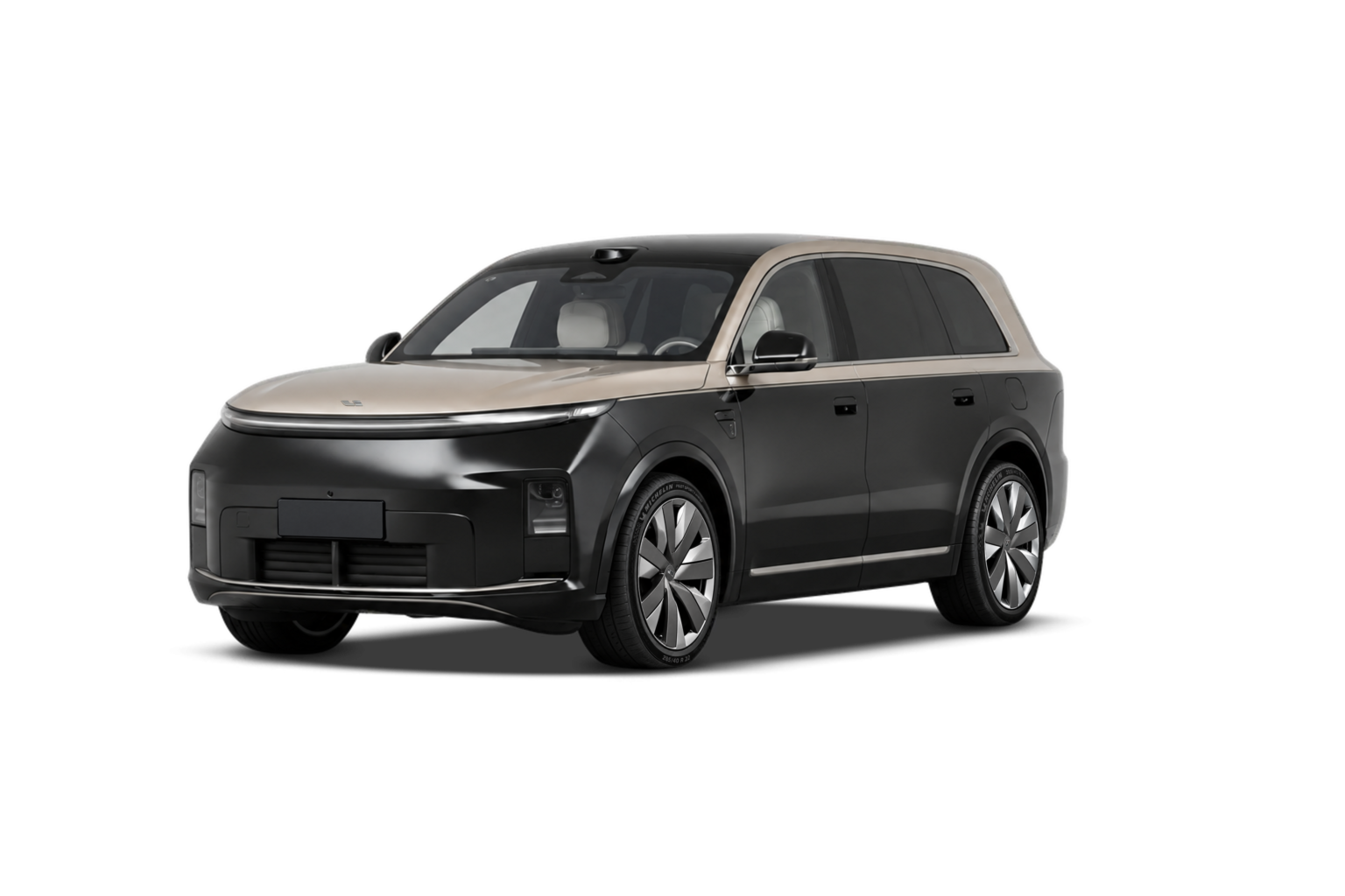 Li L9 2026 Livis — Black-Gold exterior